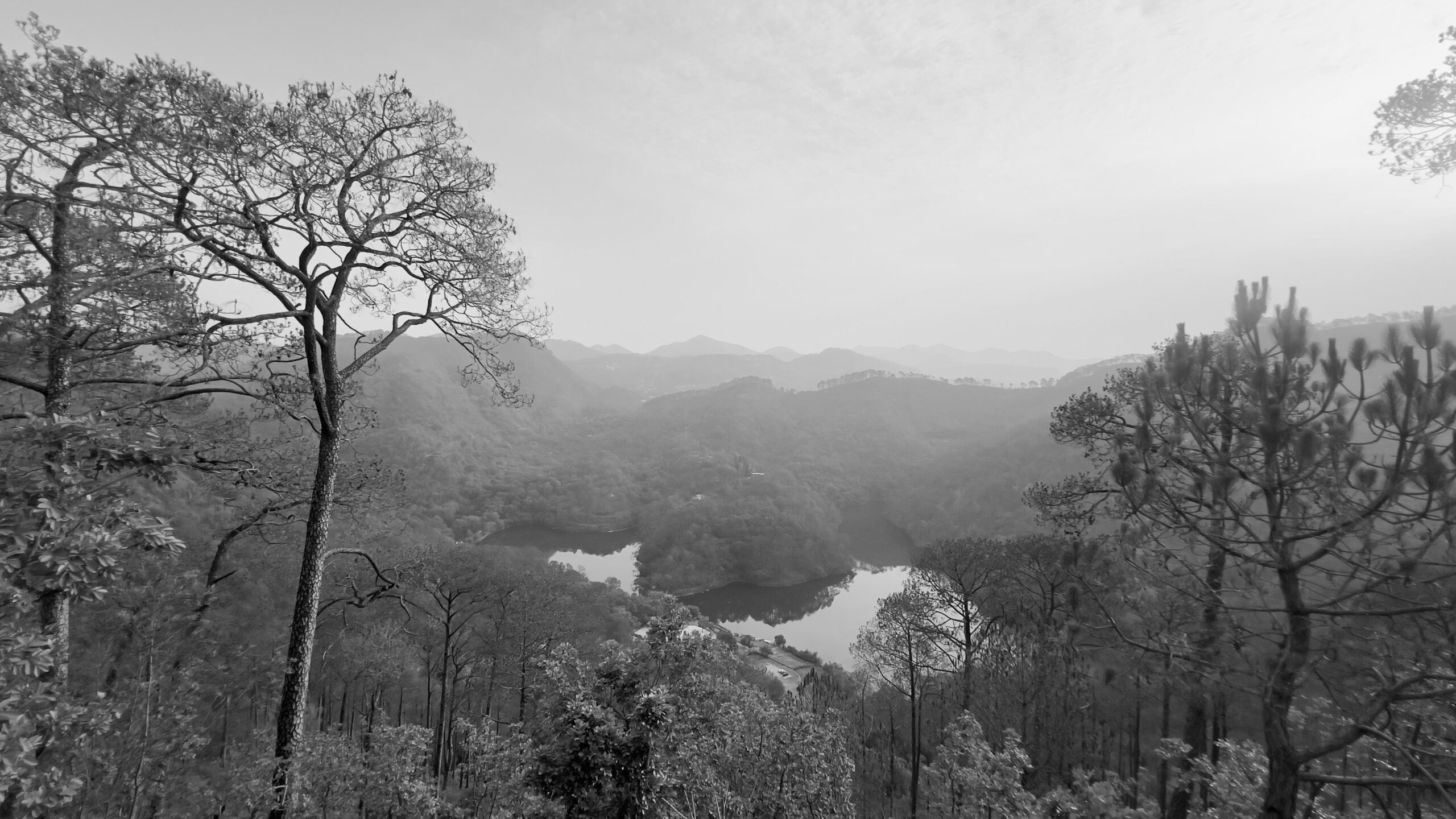 WhatsApp Image 2024-09-21 at 1.15.15 PM